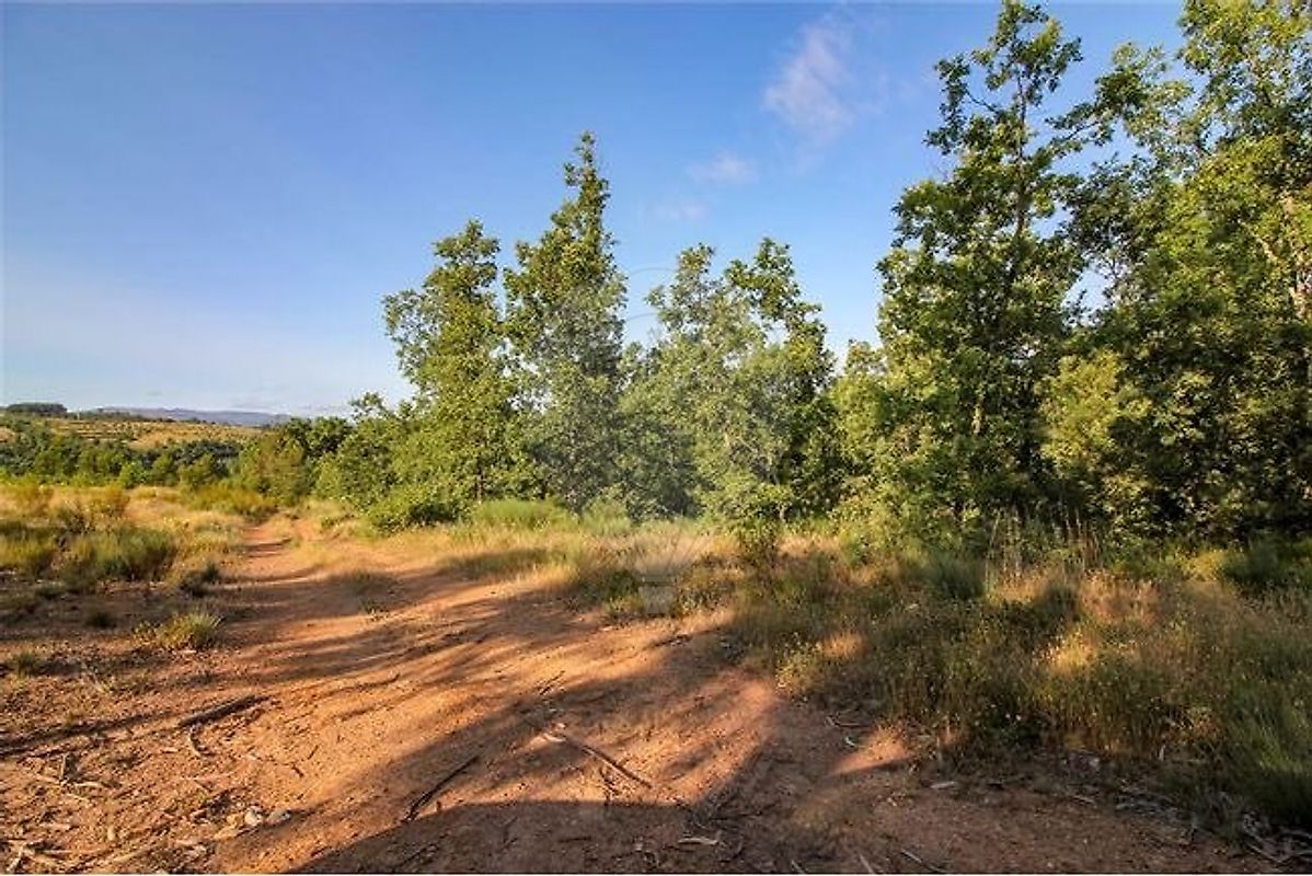 listing 123951137-54 picture-0