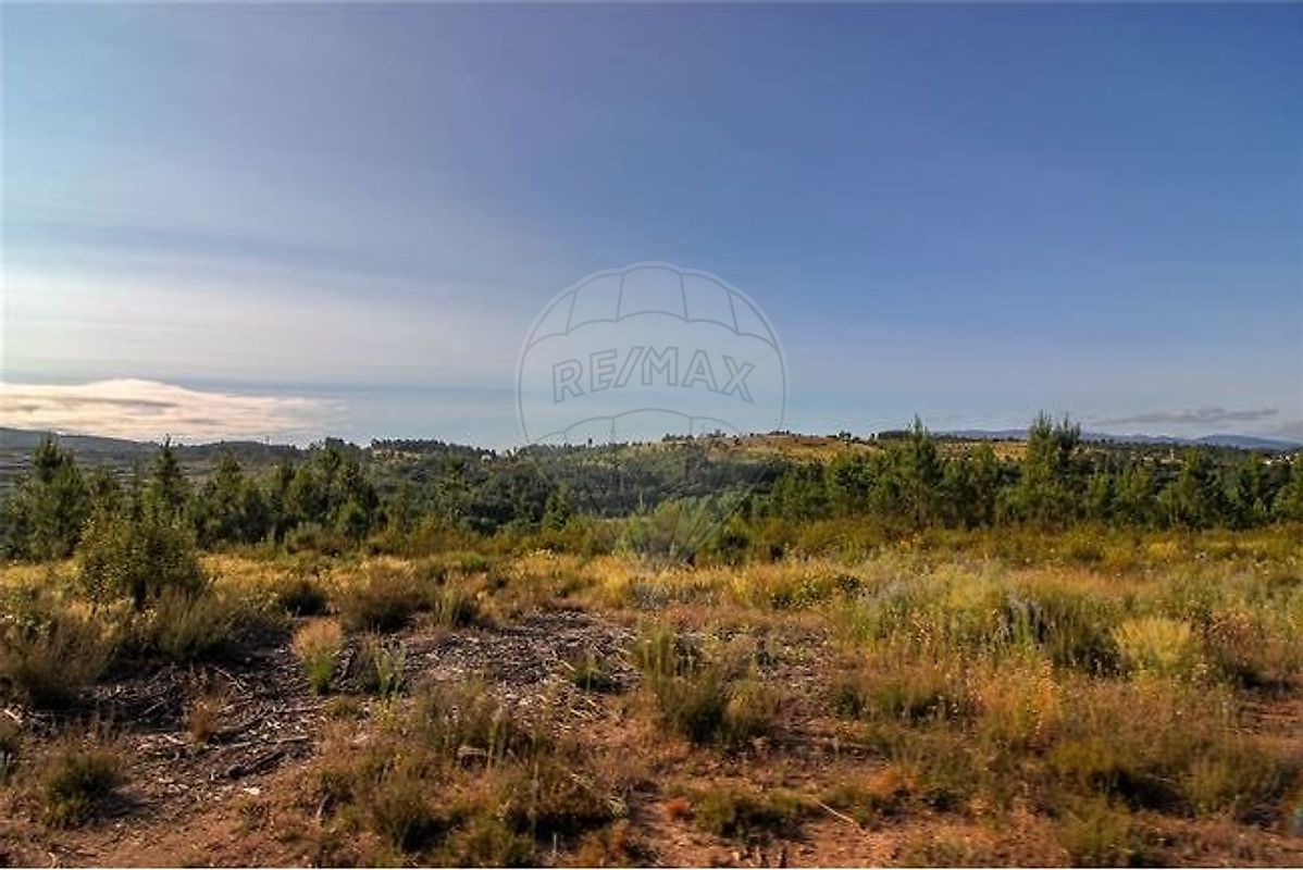 listing 123951137-54 picture-0