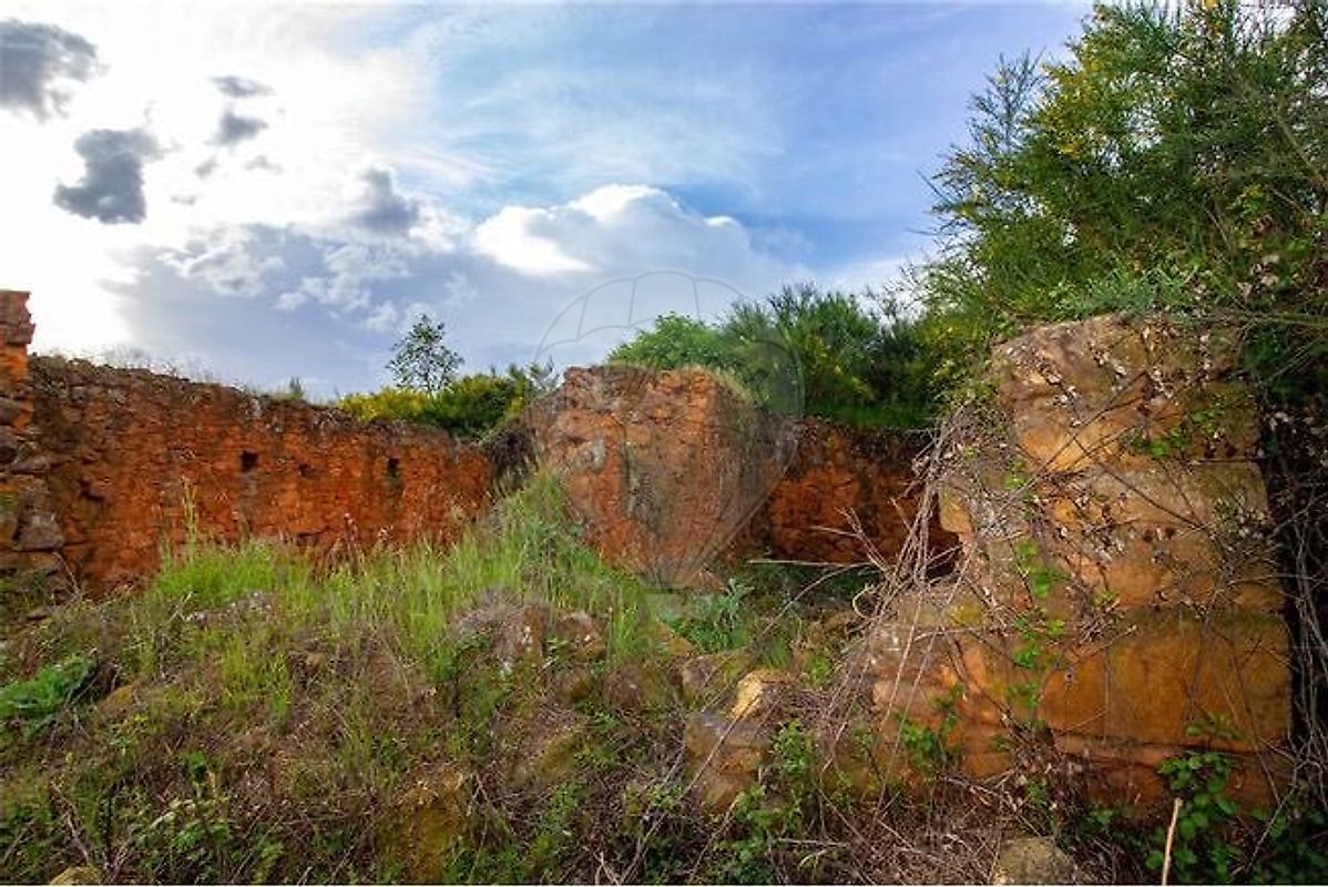 listing 123951137-54 picture-0