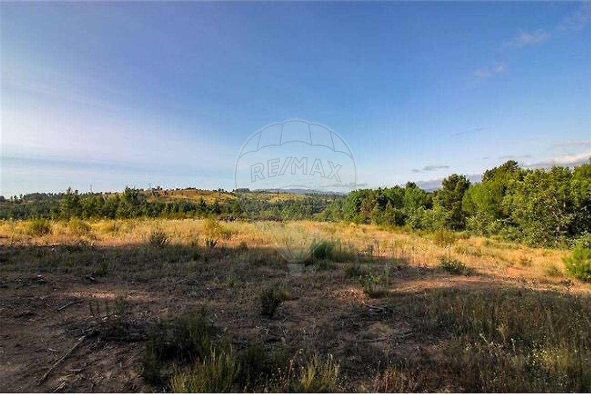 listing 123951137-54 picture-0