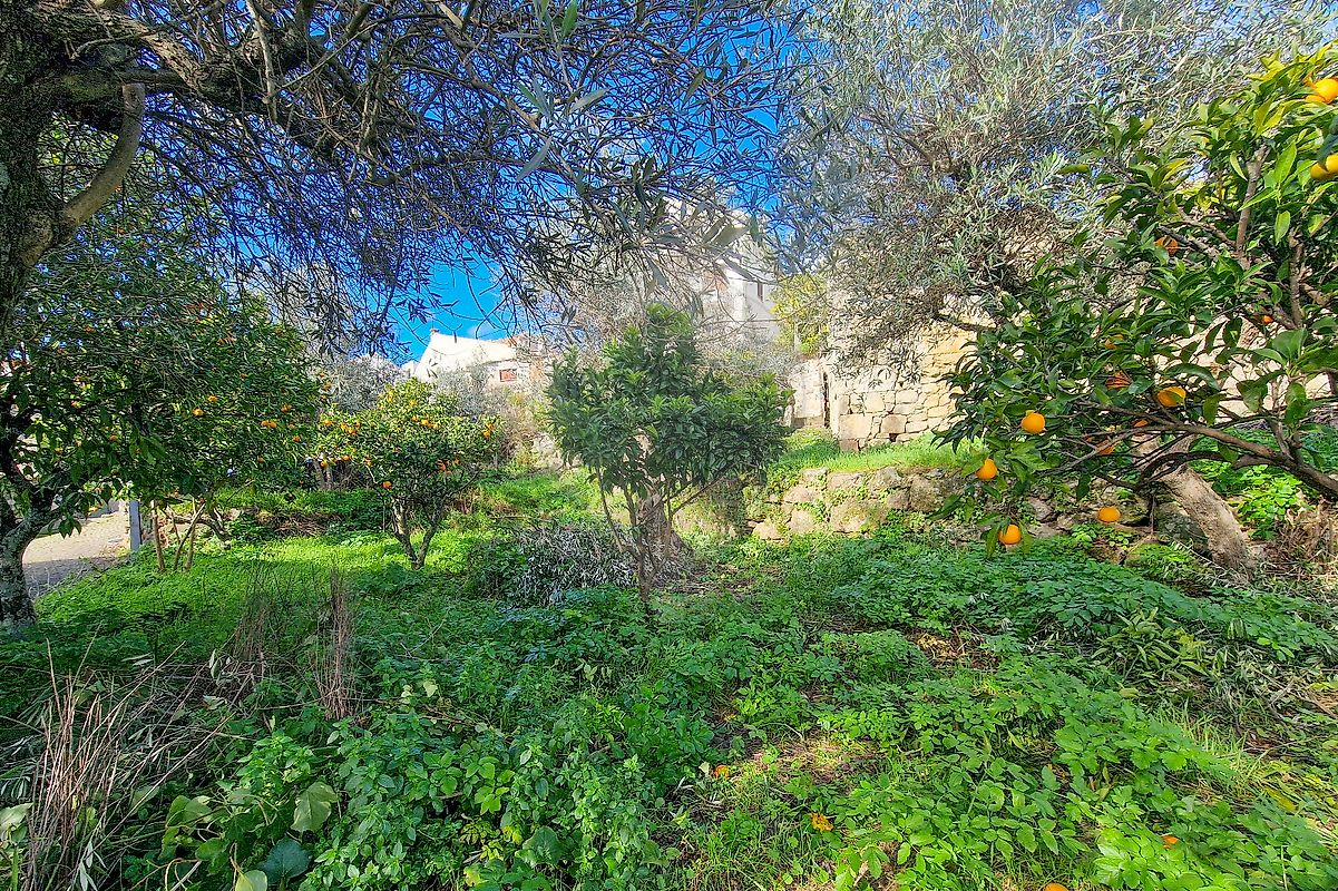 Moradia T1 à venda em Belmonte e Colmeal da Torre, Belmonte — foto 11