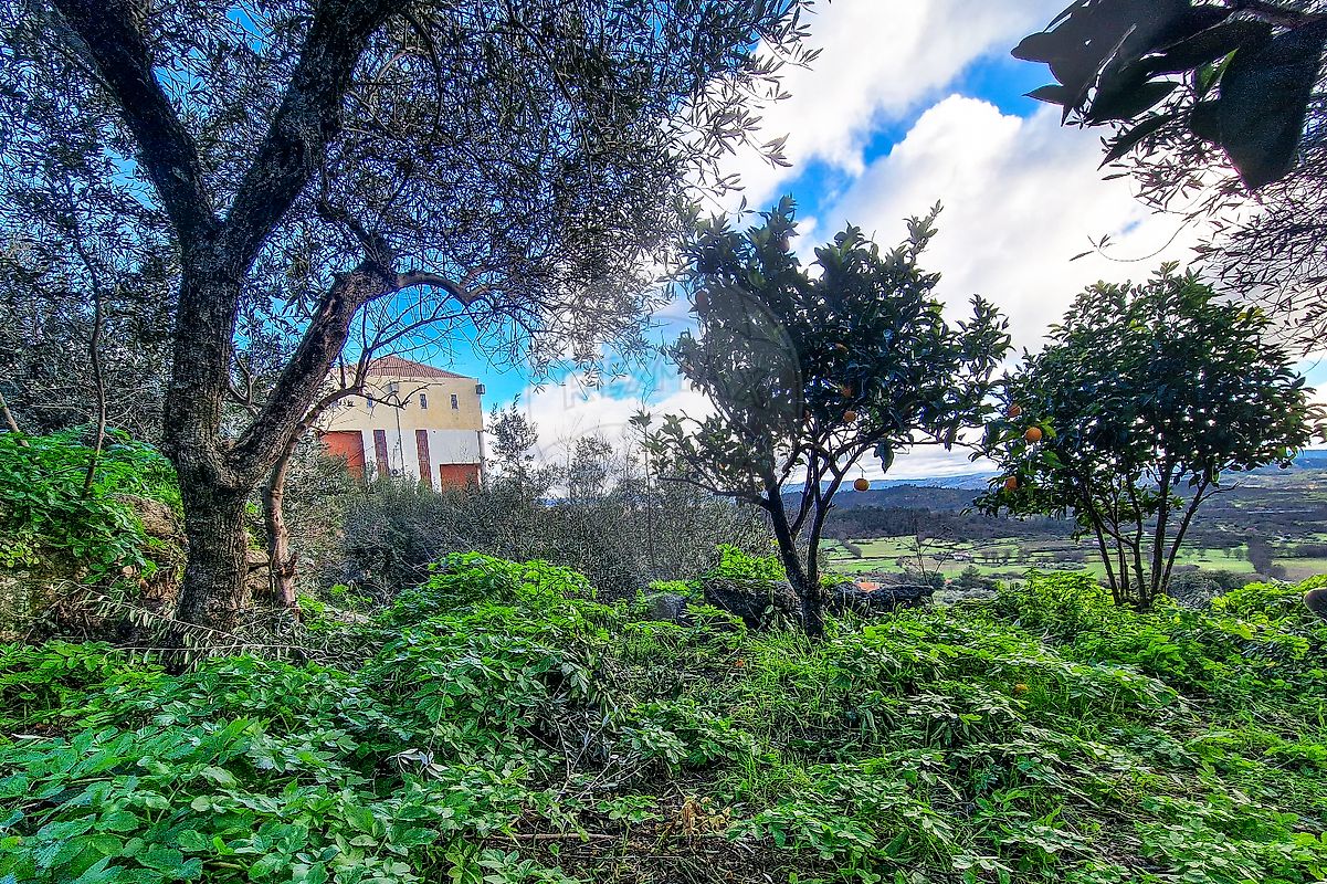 Moradia T1 à venda em Belmonte e Colmeal da Torre, Belmonte — foto 14