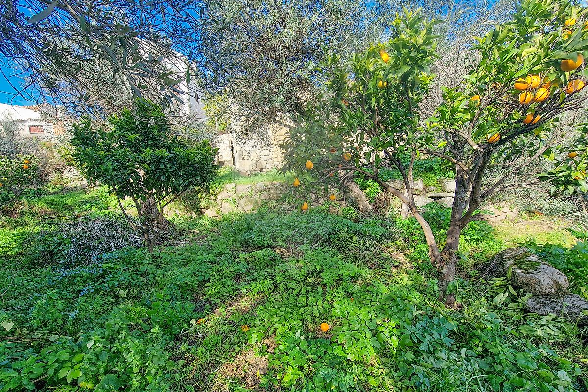 Moradia T1 à venda em Belmonte e Colmeal da Torre, Belmonte — foto 13