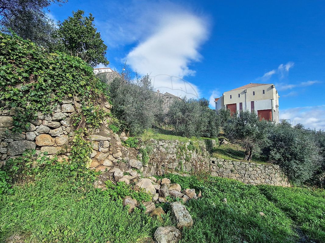 Moradia T1 à venda em Belmonte e Colmeal da Torre, Belmonte — foto 16
