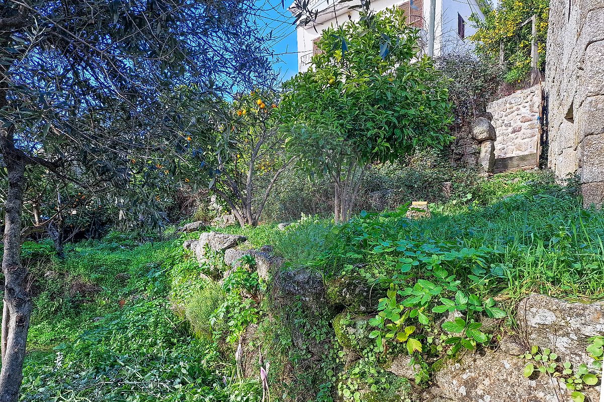Moradia T1 à venda em Belmonte e Colmeal da Torre, Belmonte — foto 6