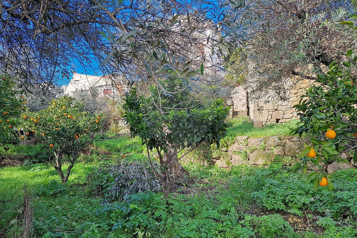 Moradia T1 à venda em Belmonte e Colmeal da Torre, Belmonte — foto 7