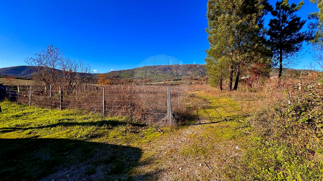 Terreno  à venda em Guarda