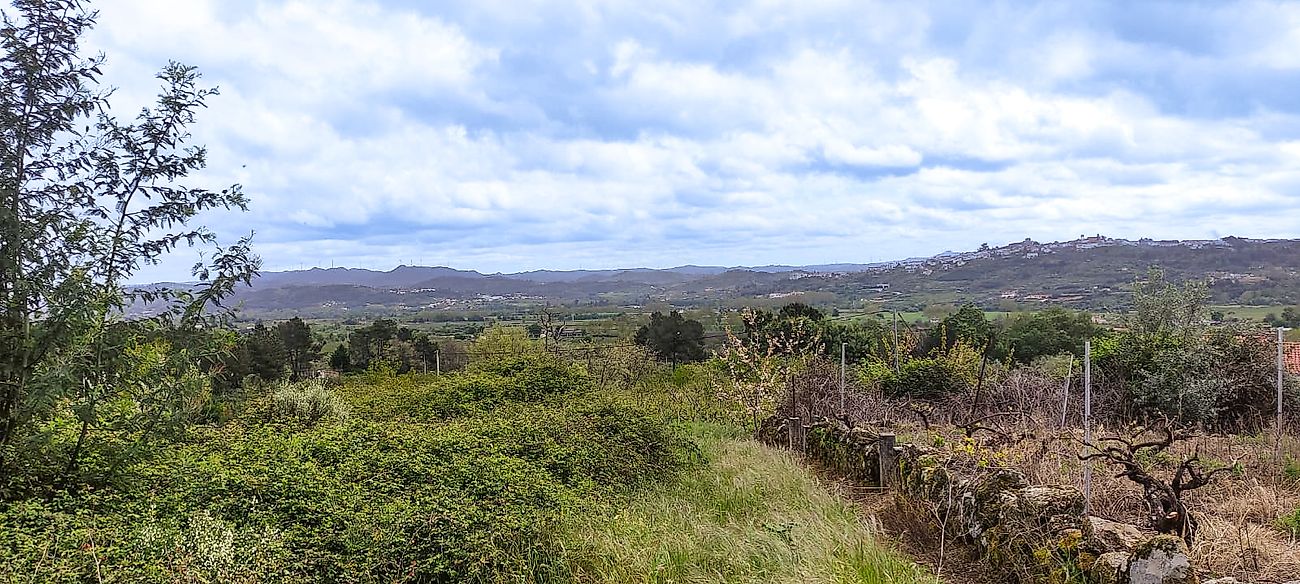 Terreno à venda em Belmonte