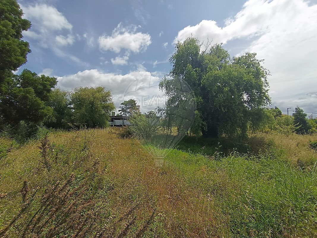listing 123951163-54 picture-0