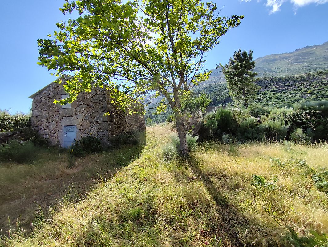 Quinta  à venda em Covilhã