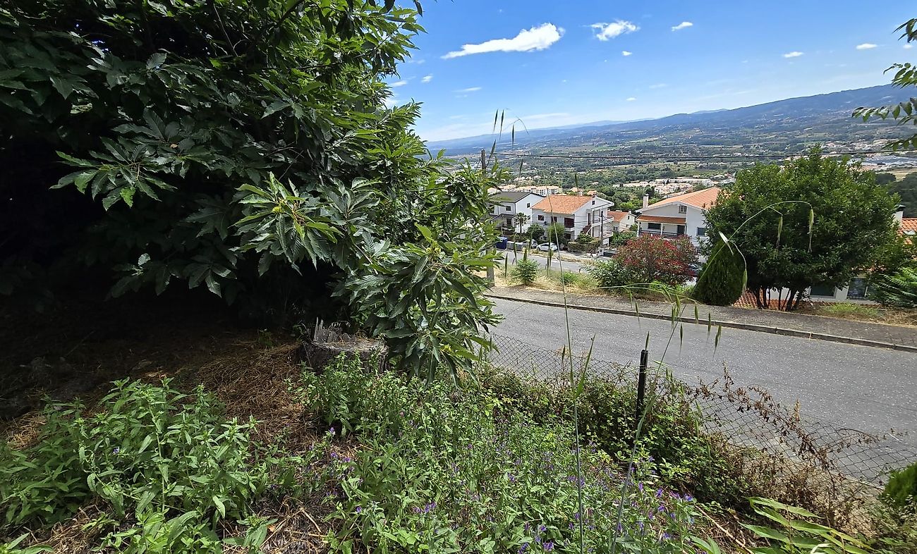 Land for sale in Covilhã, Portugal — €57,000