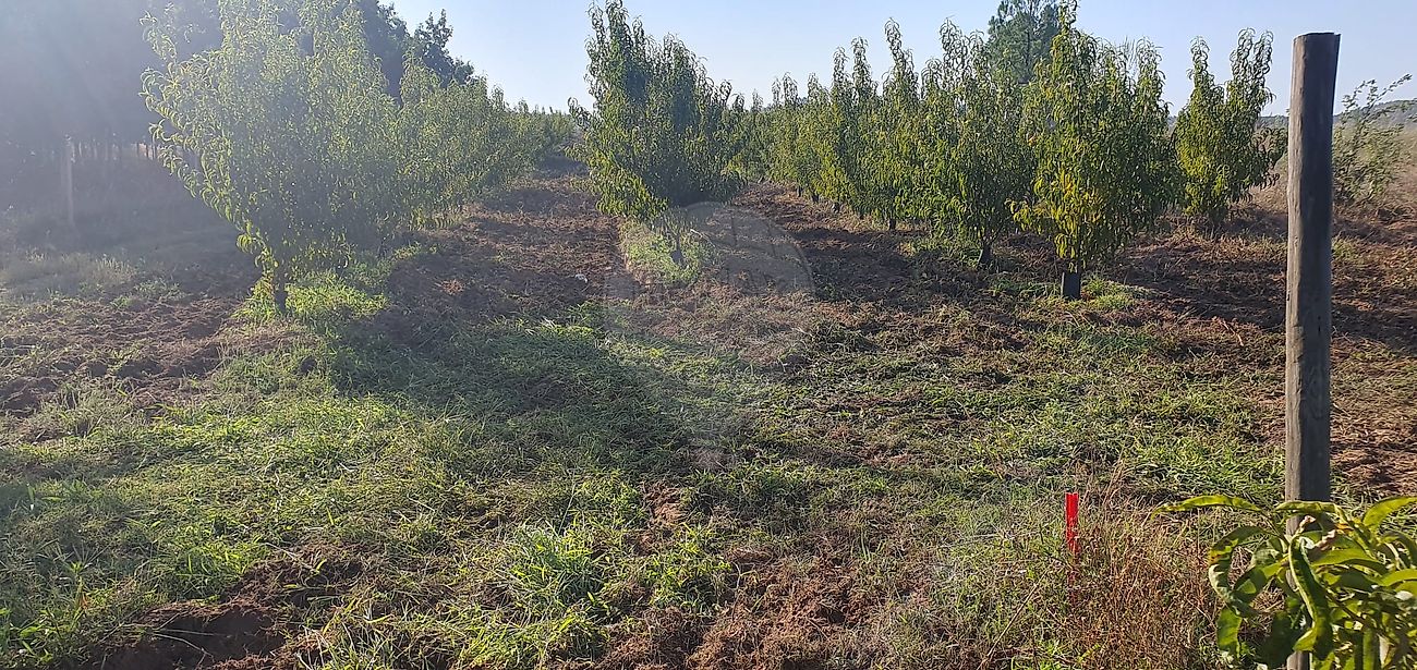 listing 123951147-74 picture-0