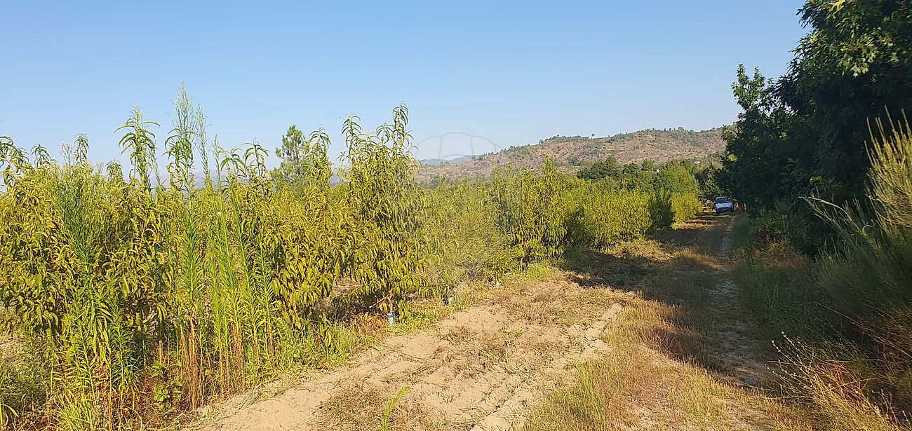 listing 123951147-74 picture-0