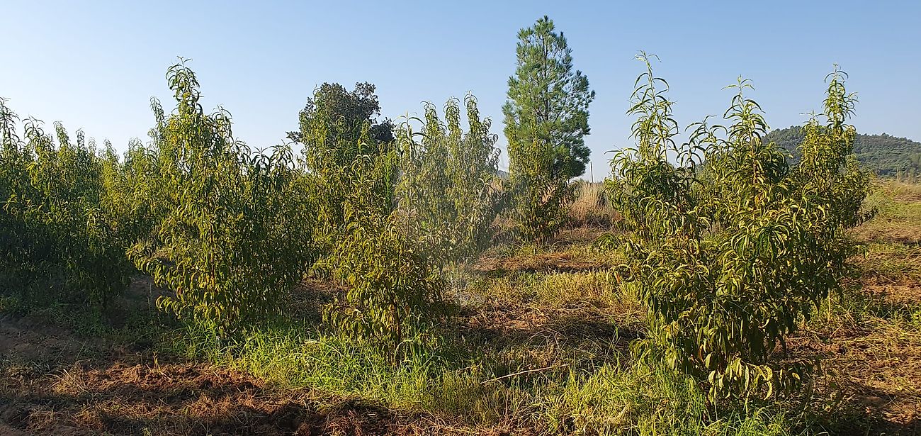 listing 123951147-74 picture-0