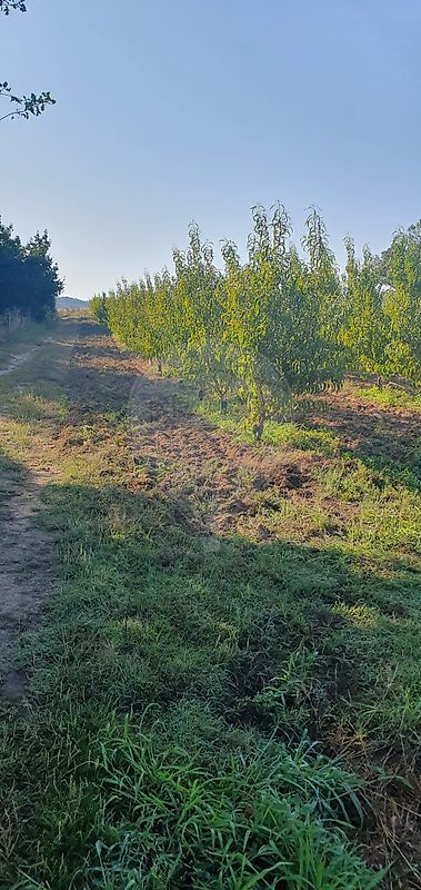 listing 123951147-74 picture-0