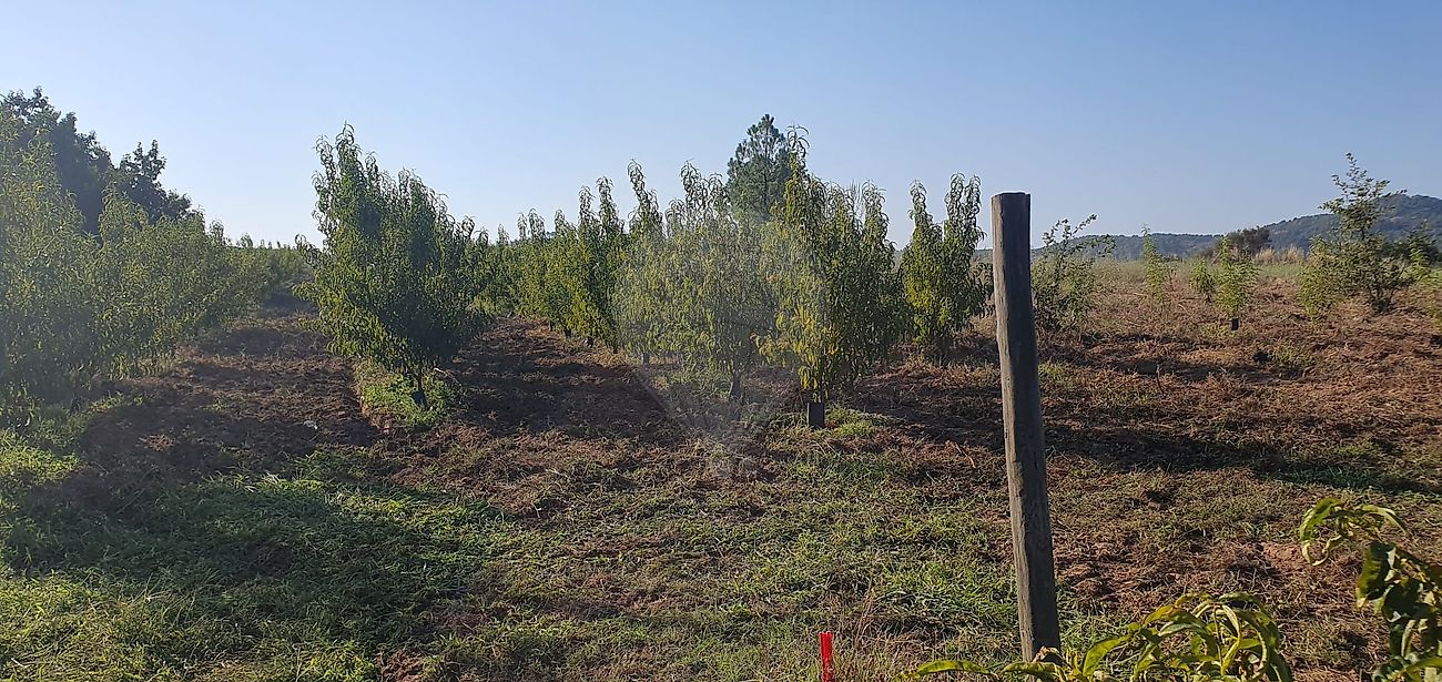 listing 123951147-74 picture-0