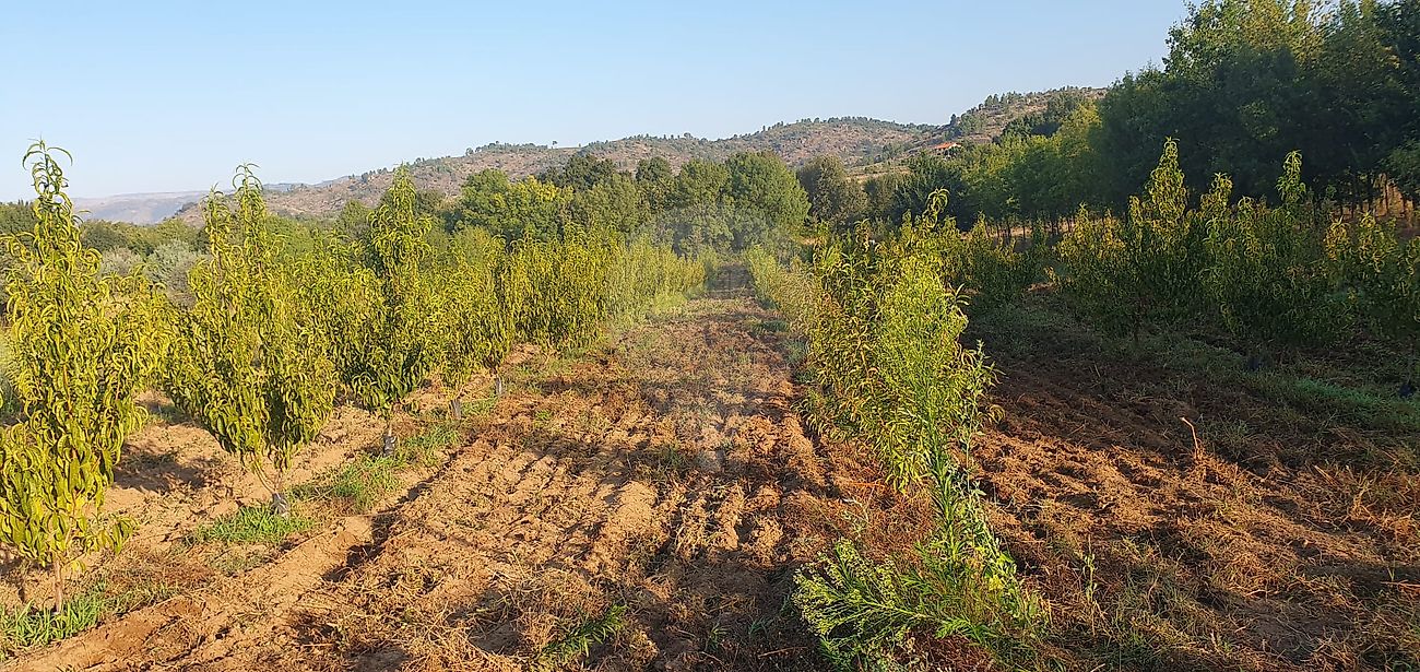 listing 123951147-74 picture-0