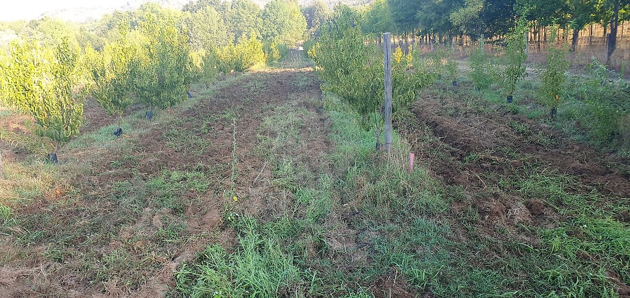 listing 123951147-74 picture-0