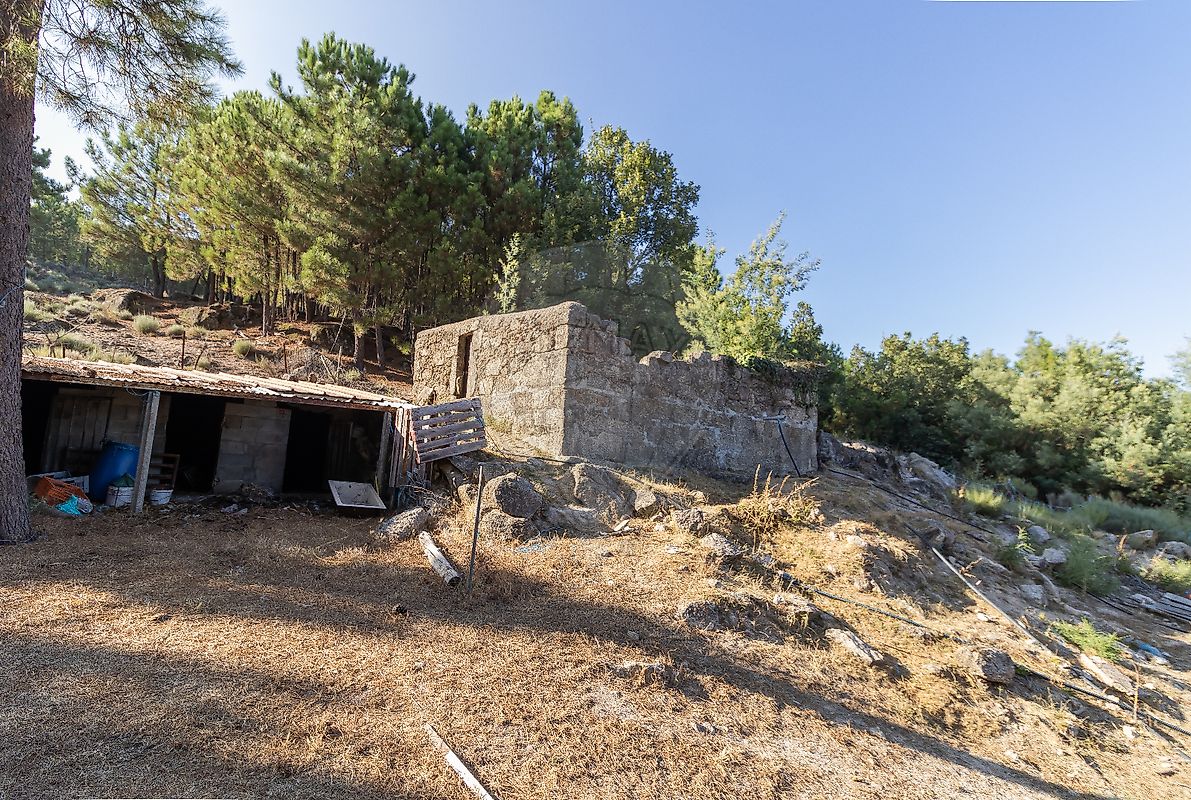 listing 123951015-191 picture-0