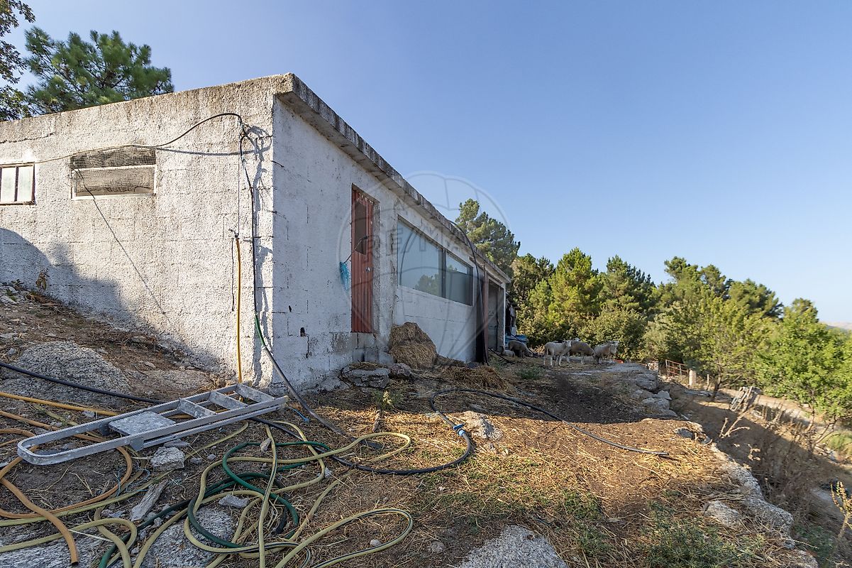 listing 123951015-191 picture-0