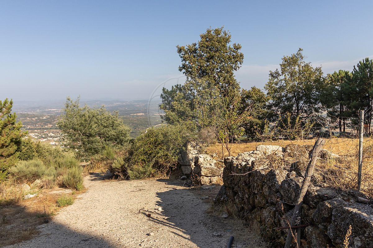 listing 123951015-191 picture-0