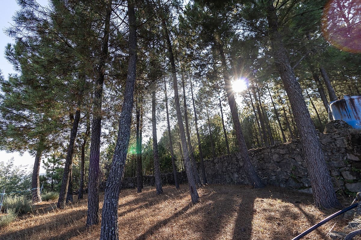 listing 123951015-191 picture-0