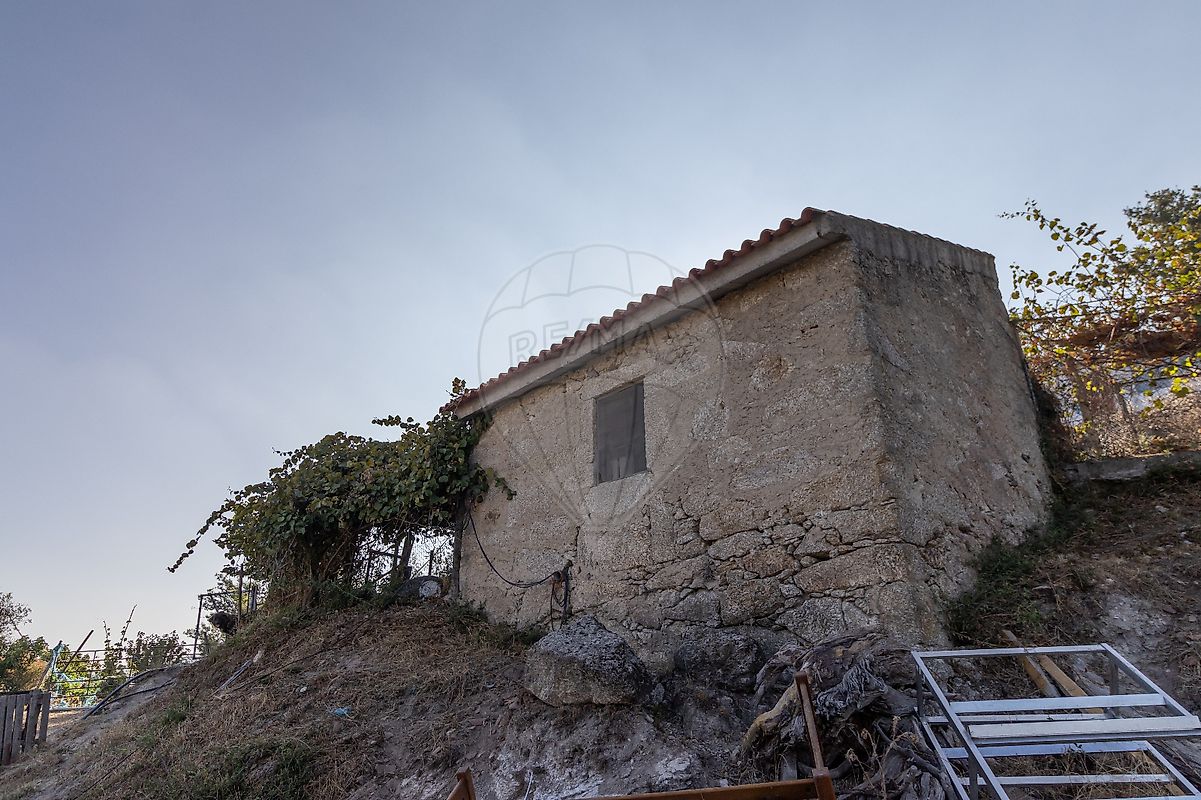 listing 123951015-191 picture-0