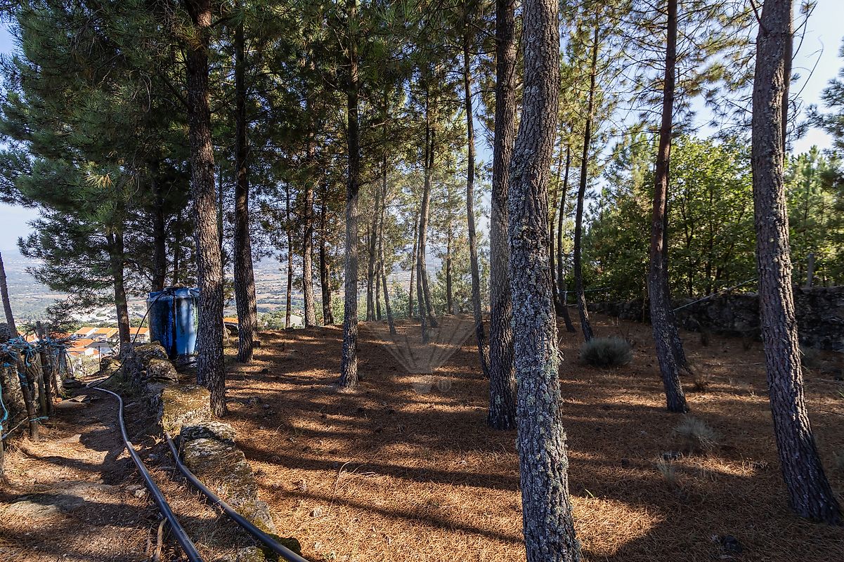 listing 123951015-191 picture-0