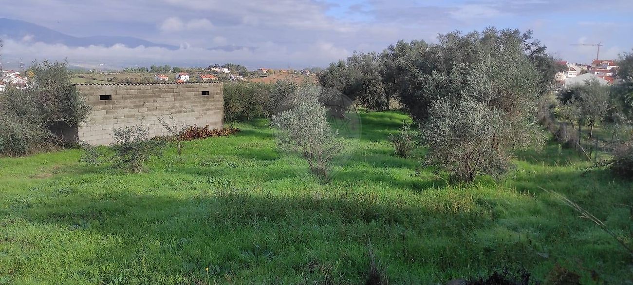 Terreno para venda