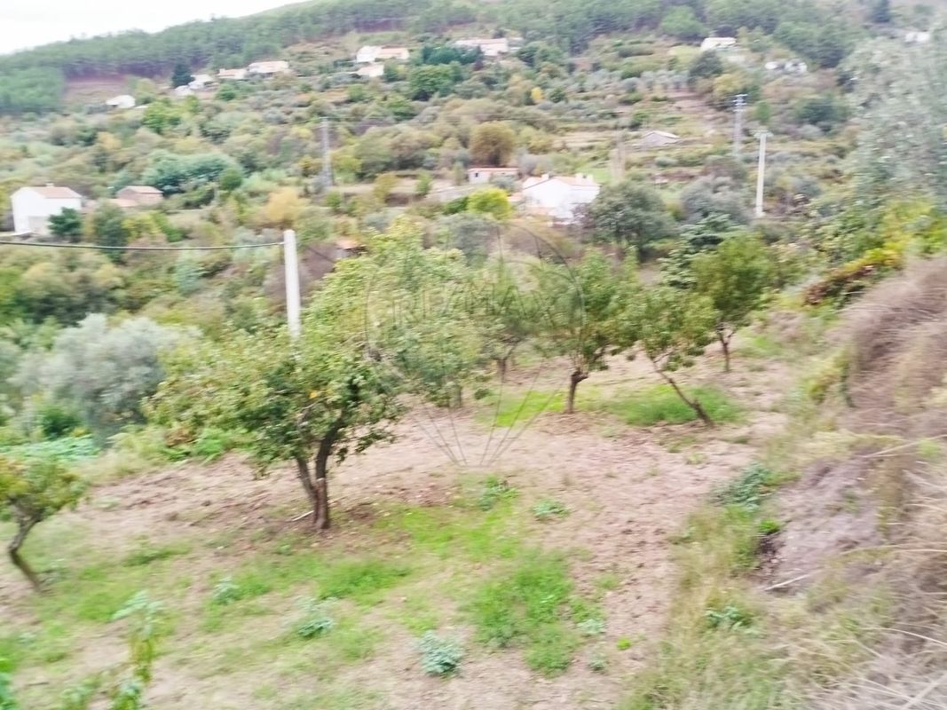 TODO