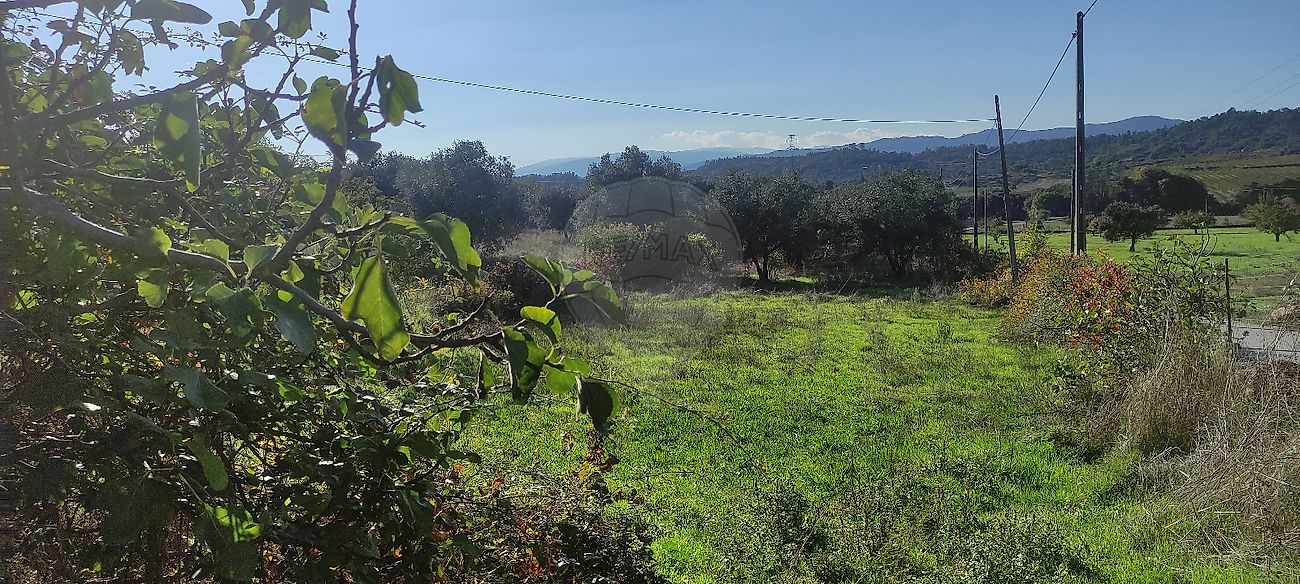 Quinta T0 à venda em Belmonte