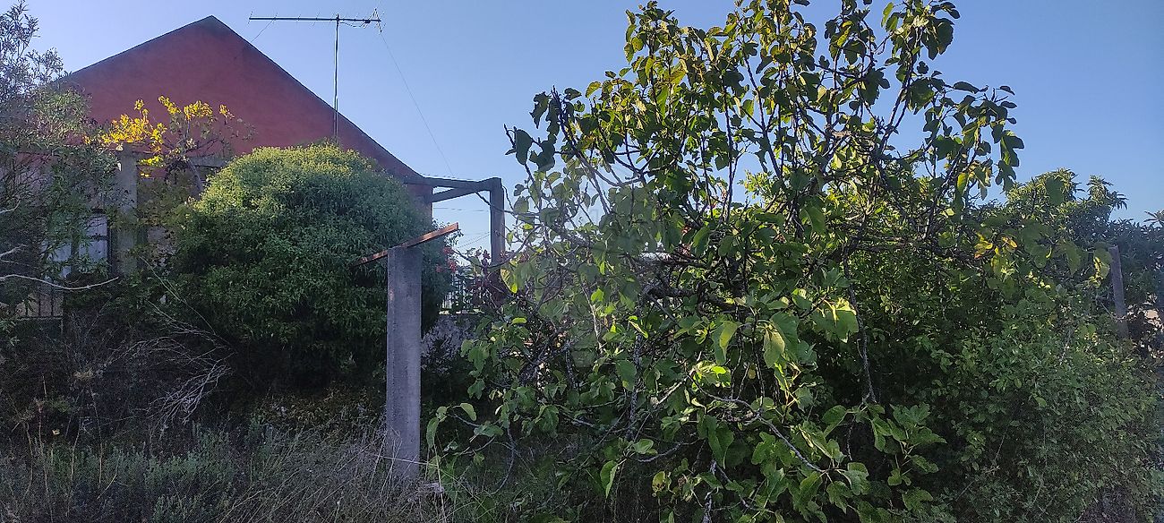 Moradia T3 à venda em Belmonte e Colmeal da Torre, Belmonte — foto 6