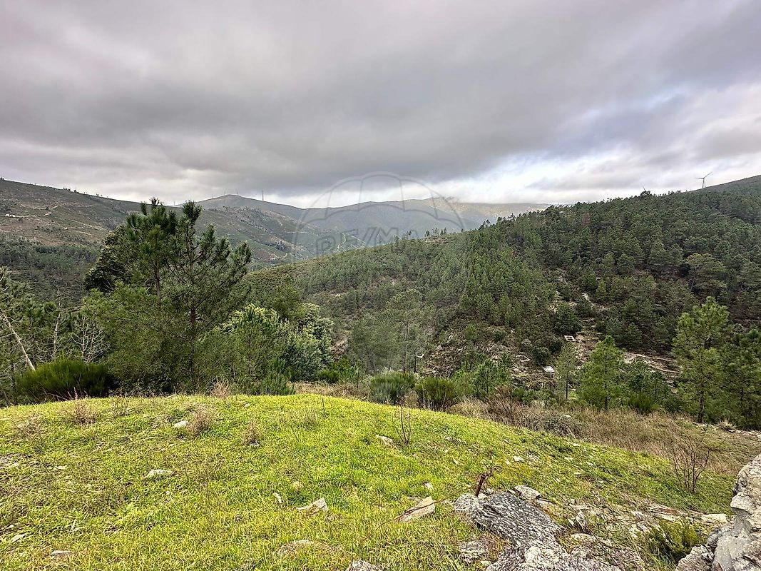 Terreno para venda