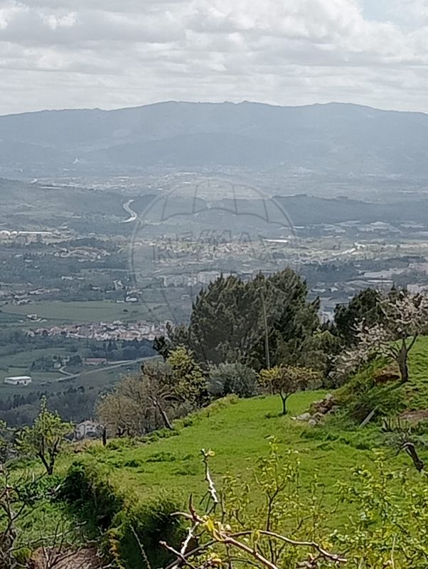 TODO