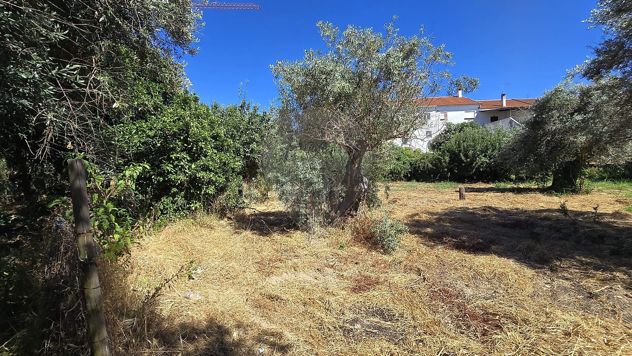 listing 123951167-90 picture-0