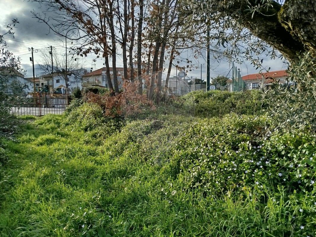 Terreno para venda
