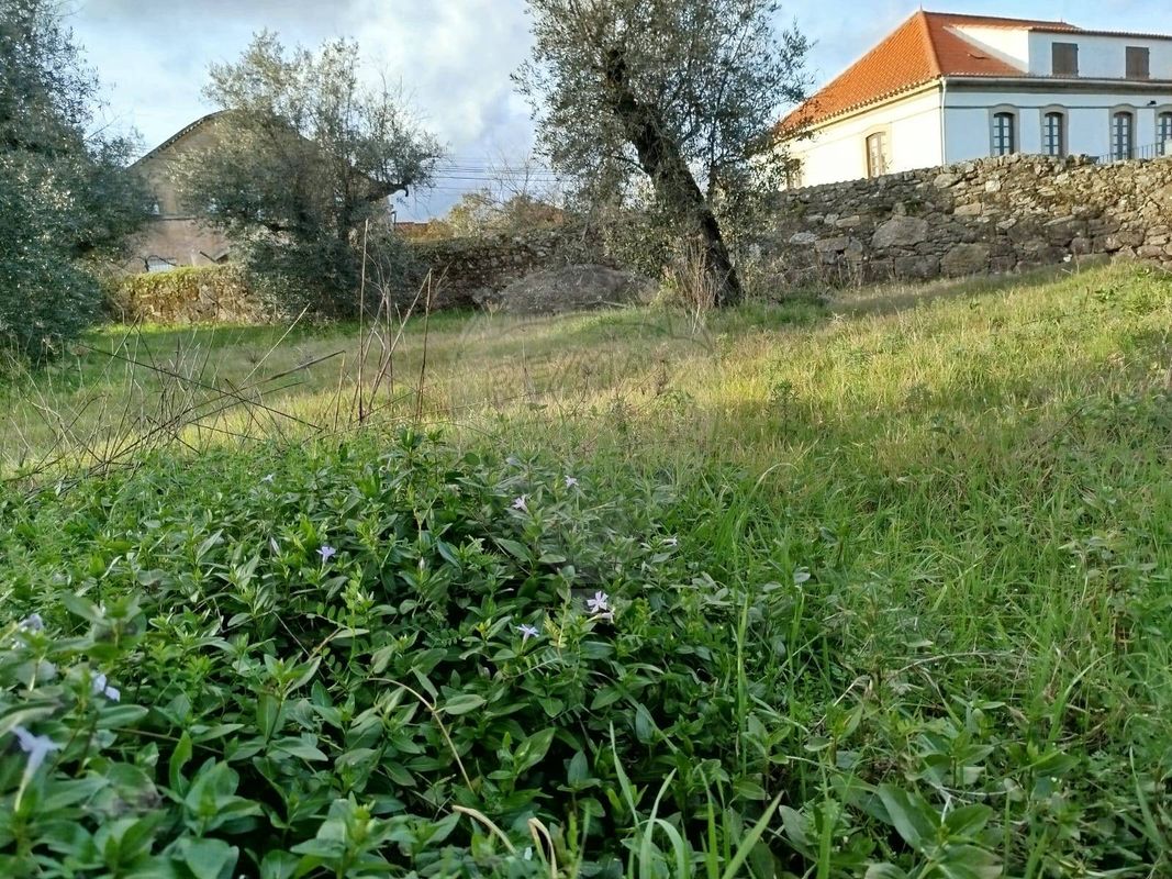 TODO