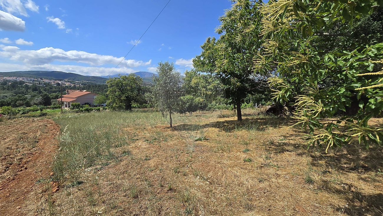 Terreno para venda