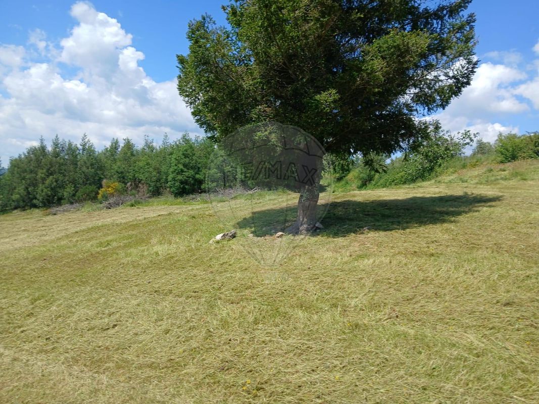 TODO