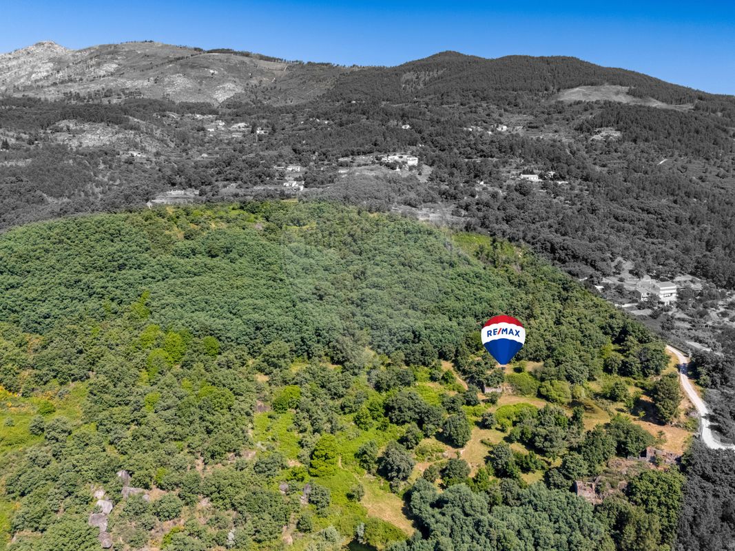 listing 123951021-551 picture-0