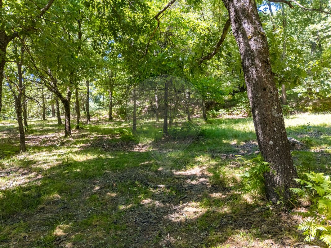 listing 123951021-551 picture-0