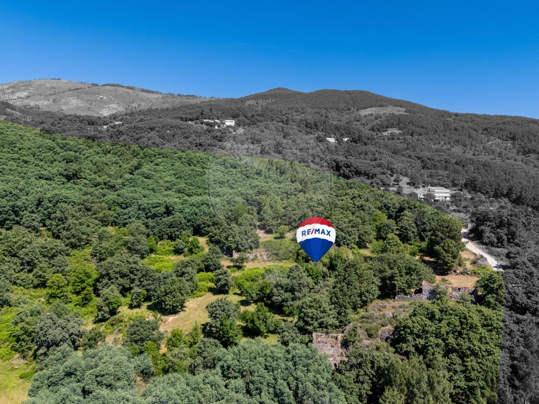 listing 123951021-551 picture-0