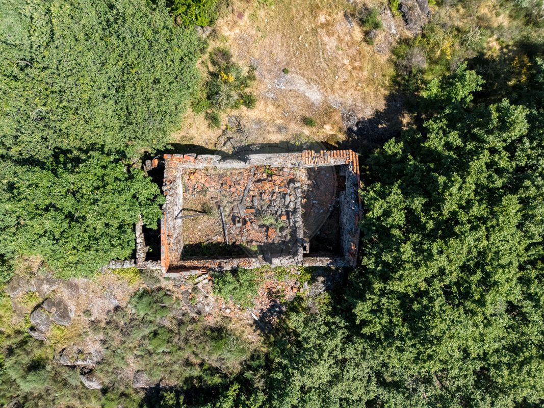 123951021-551
