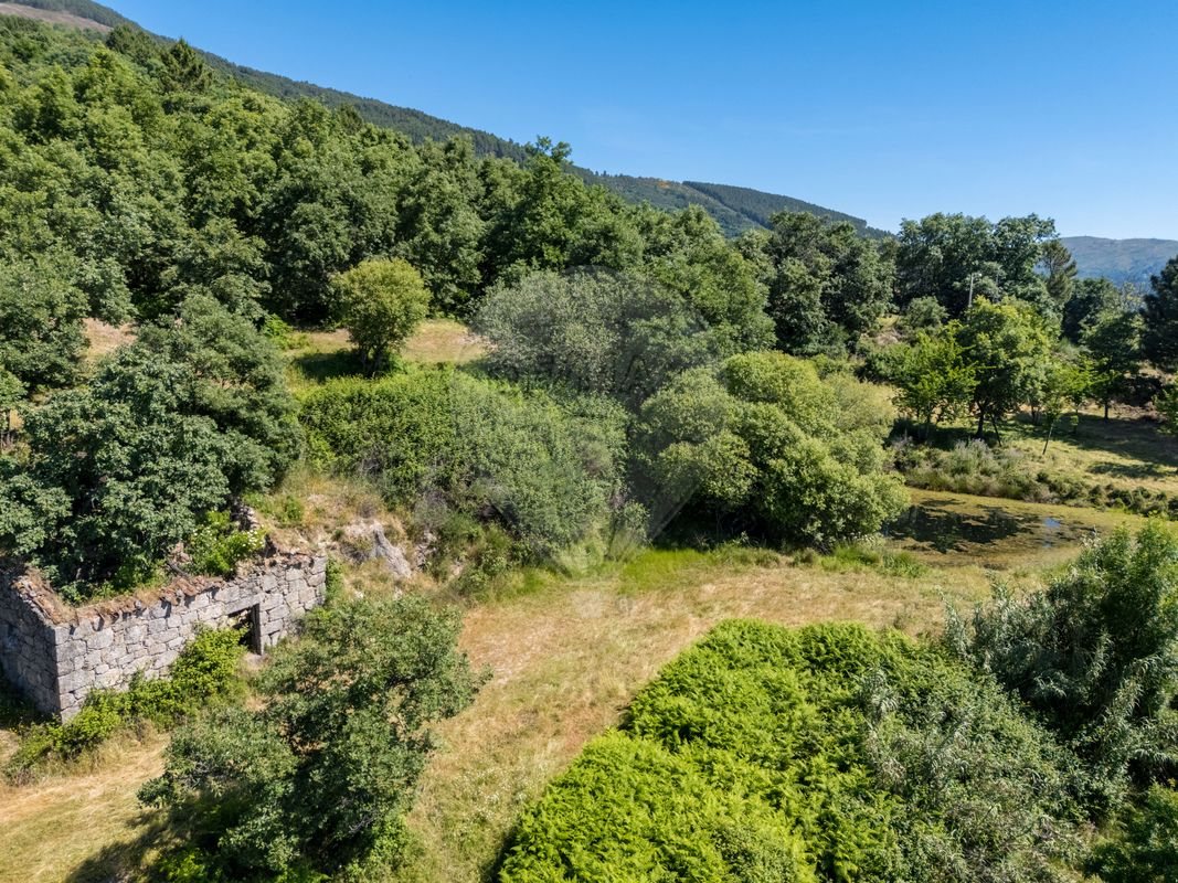 listing 123951021-551 picture-0