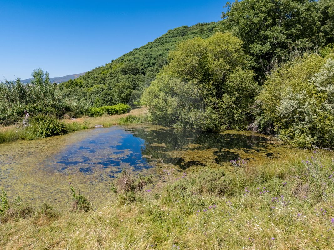 listing 123951021-551 picture-0