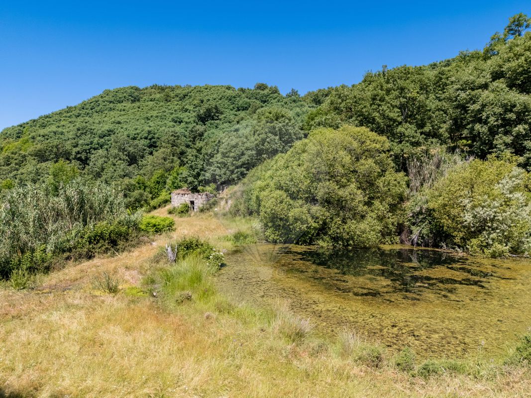listing 123951021-551 picture-0