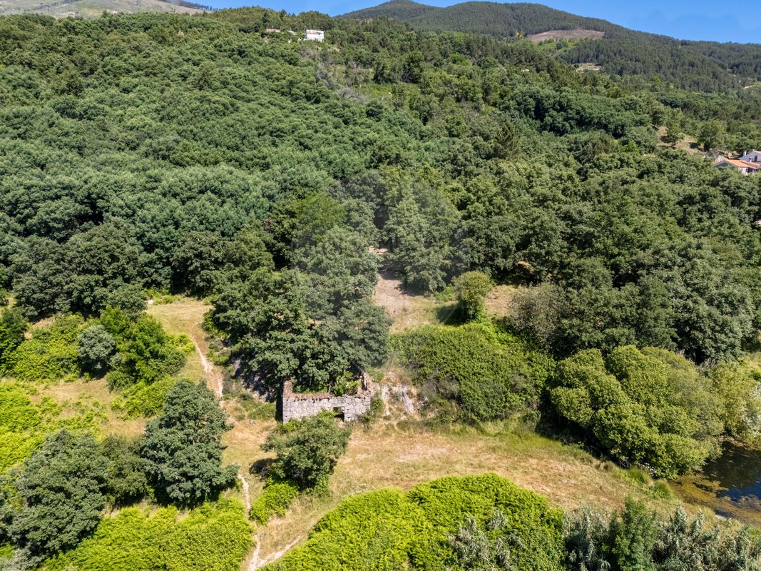 listing 123951021-551 picture-0