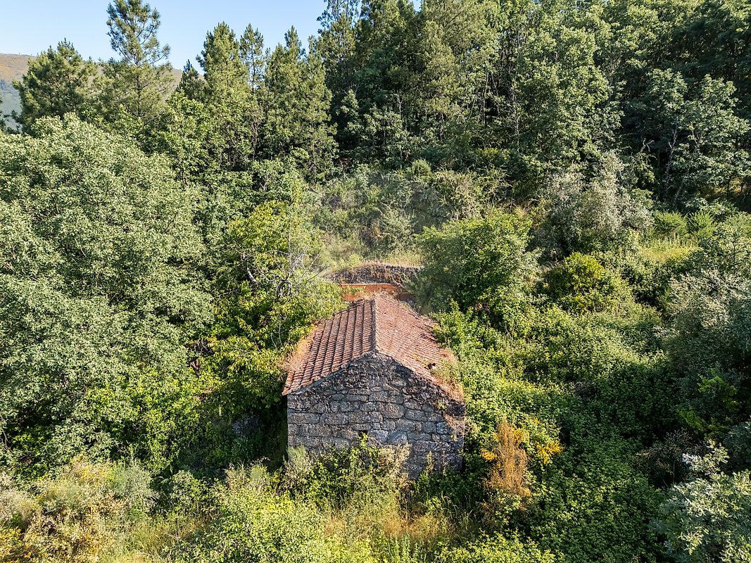 TODO