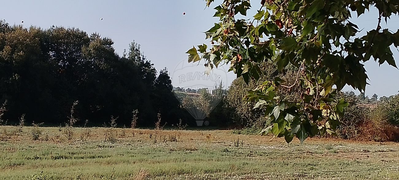 Terreno  para venda