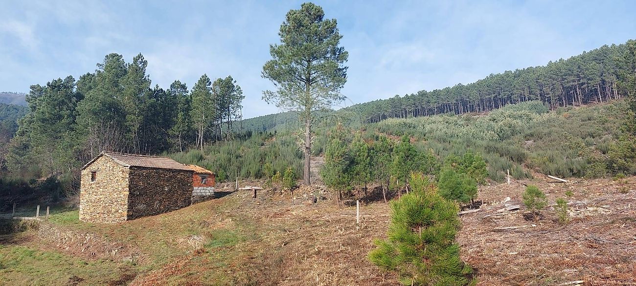 Terreno para venda